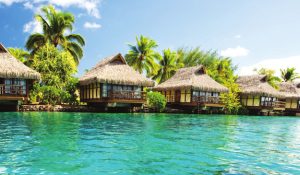 10 - 111 days South Pacific Cruises