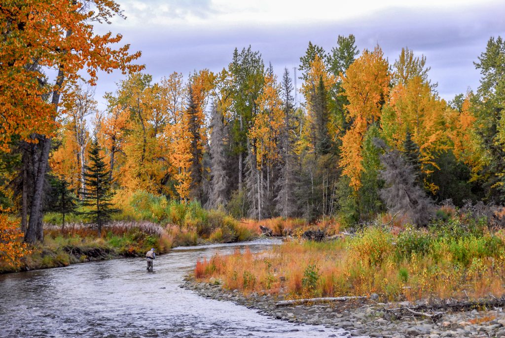 Man fly fishing in Autumn in a wild river in Ninilchik, Alaska during Autumn - Accent on Travel