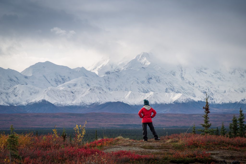 Hiker at mountain top with direct view of the Denali Mountain, Alaska - Accent on Travel