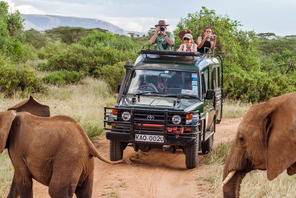 Tourists on safari game drive - Accent on Travel